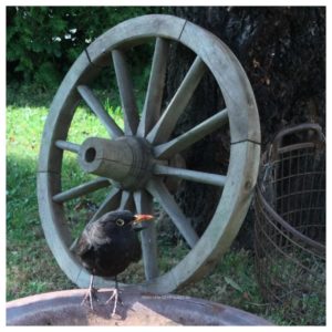 Sommerimpressionen – Villa Landzauber