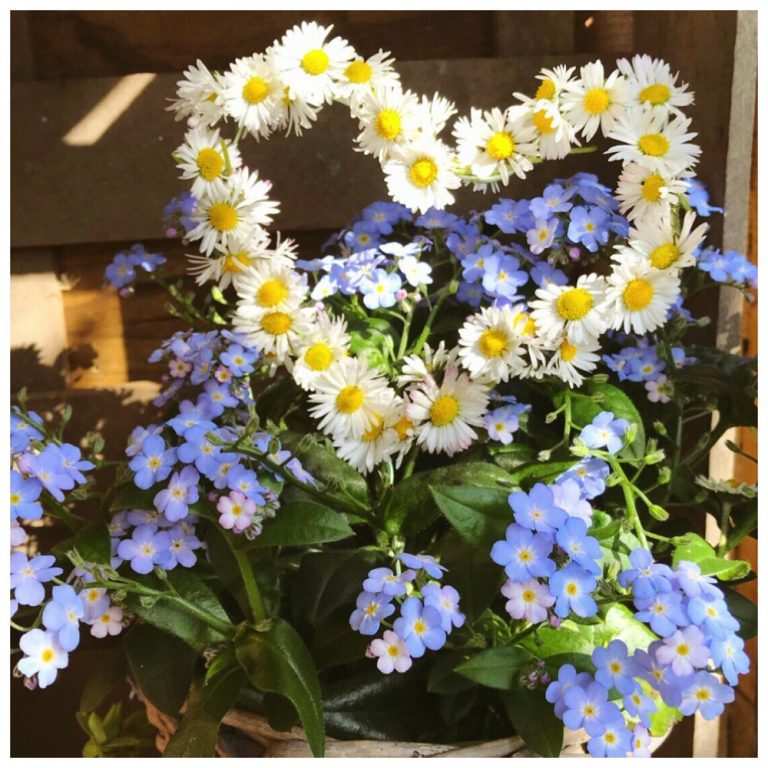 Frühling 2018 Villa Landzauber